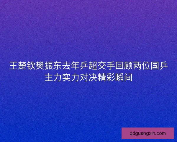 王楚钦樊振东去年乒超交手回顾两位国乒主力实力对决精彩瞬间