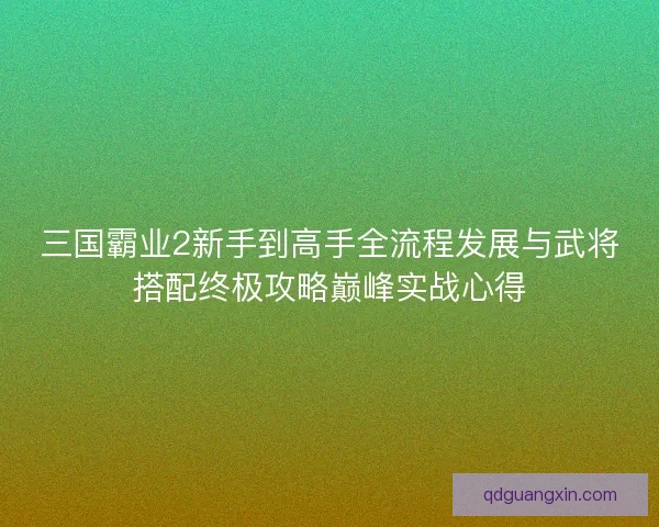 三国霸业2新手到高手全流程发展与武将搭配终极攻略巅峰实战心得 三国霸业2新手到高手全流程发展与武将搭配终极攻略巅峰实战心得