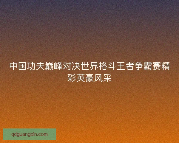 中国功夫巅峰对决世界格斗王者争霸赛精彩英豪风采